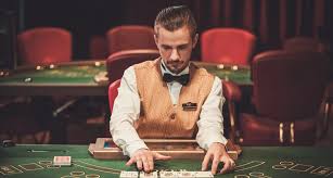 Как войти на сайт Casino Cat